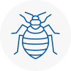 Bed Bug Extermination In Castlereagh