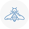 Bee Nest Removal Castlereagh