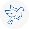 Bird Prevention Castlereagh