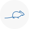 Mice Exterminators In Castlereagh