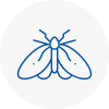 Moth Control Specialists In Castlereagh