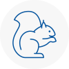 Castlereagh Rodent Removals