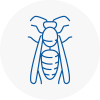 Castlereagh Wasp Nest Removal